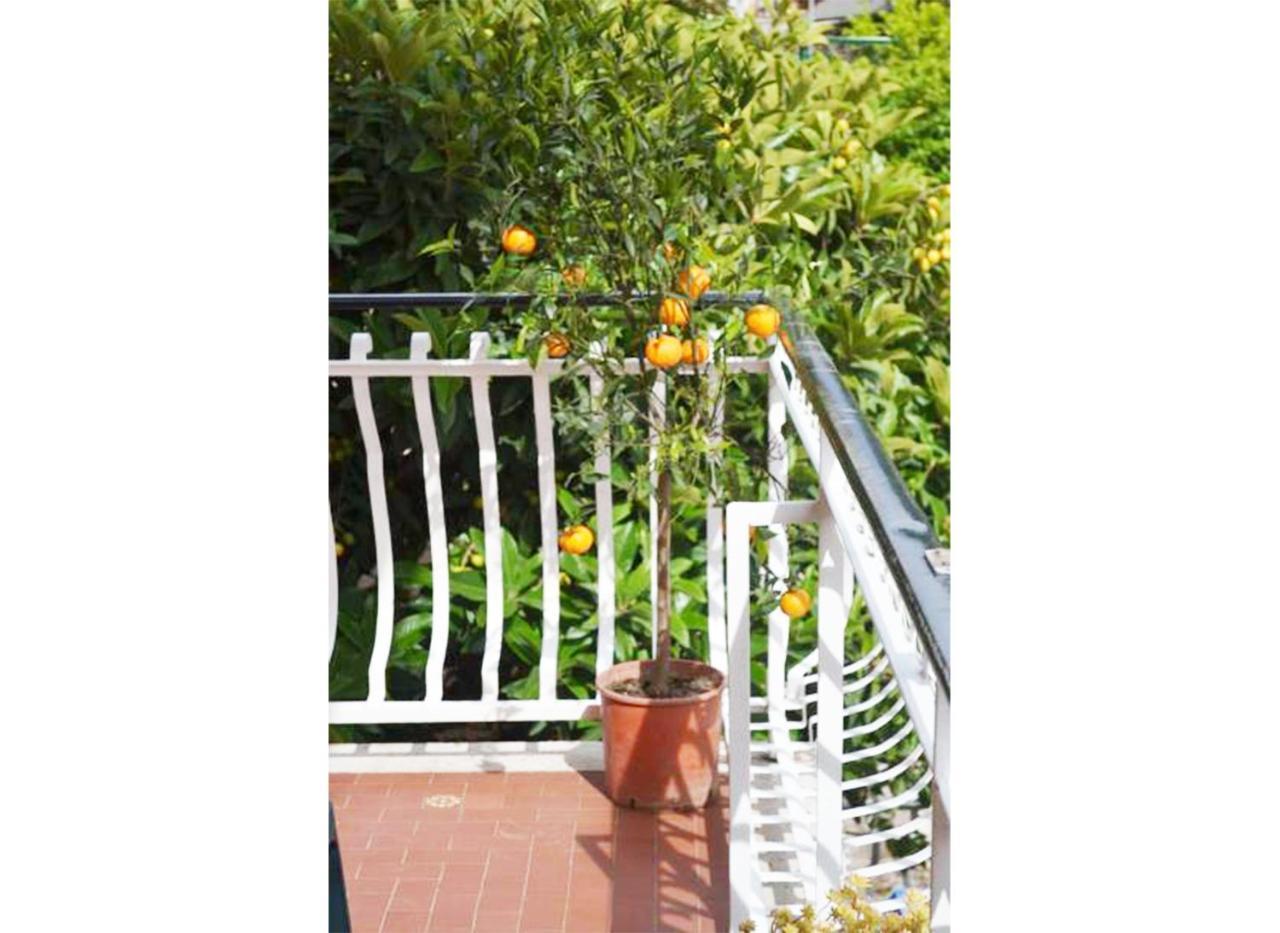 Casa Celeste Rome Exterior photo